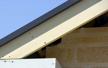 Shawdon Hall fascia repairs