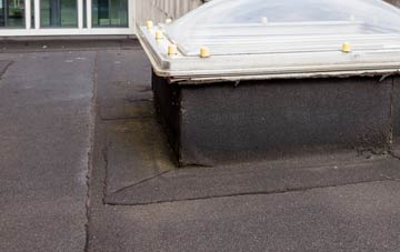 disadvantages of Shawdon Hall flat roofs